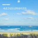 링크 늘푸른 애견호텔 | ​[속초 고성오션투유리조트] 눈 뜨면 해변? 바다와 3분 거리 속초여행 숙소 클라스