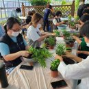 생활원예(기초반) 이미지