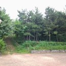 장도포대지 이미지