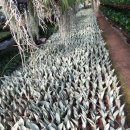 남사농장 이미지