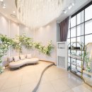 목화(아) 이미지