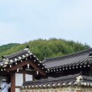 어유소장군 사당 이미지