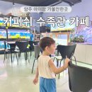 커피쉬수족관