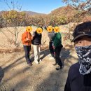 파크장 | [포항파크골프] 영천 고경 솔숲파크골프장 이용기