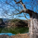 성하리마을회관 이미지