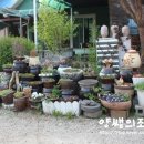 시크릿 | 포천애견펜션)시크릿가든 솔직후기 (두번째 방문)