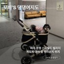 라운지펫 | 파주 운정 스타필드 빌리지 개모차 대여 방법 2층 펫라운지 위치 후기