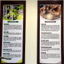 대원가든앞공원 | 속초 델피노 맛집 엑스포공원 근처 백세가든