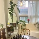 베르센트제주