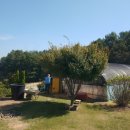 안의농약사 이미지