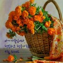 해피데이 이미지