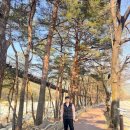 태백부동산공인중개사사무소 이미지