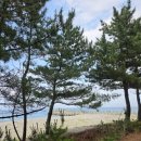 미소바이크 | [삼척가볼만한곳]삼척해양레일바이크 솔직 후기! 바닷바람 맞으며 달리는 힐링 코스 (feat. 남편의 태세...