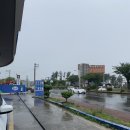 주식회사 제주현대렌트카 이미지