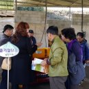 삼진개발 티스토리