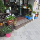 동성공원 이미지