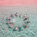 핑크비치 이미지