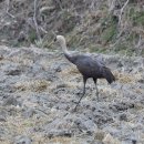 지리산골 이미지