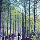 우정어린이공원 | 모모놀이터 사진 동호회 / 유림공원 튤립🌷4월 16일 사진 동호회 번개 출사 후기