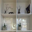 강남에스라인 이미지