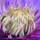 총신대학교 이미지