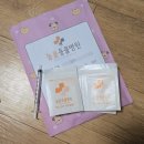 미사늘봄동물병원 | 하남 미사 소동물 진료가능한 '미사늘봄동물병원'