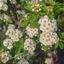 우리농원 이미지