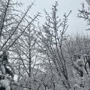 윤주태 | 231230 K리그 40주년 전시회&amp;팝업스토어 in 영등포 타임스퀘어