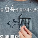 포인핏