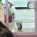 목월제빵소