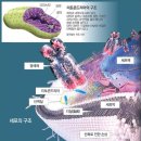 에너지B&S 네이버블로그