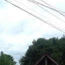 로그캐빈하우스 이미지