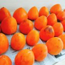 신농농장 이미지