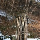 주곡리 장승제 | 충남 논산시 상월면 주곡리 _숯골