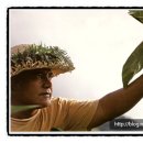 병조농장 이미지