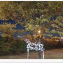 울산제일중학교 | 울산 중구 태화동 방충망 (미세촘촘망)교체 이사청소