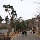 양산누리길 이미지