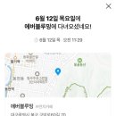 에버블루밍 이미지