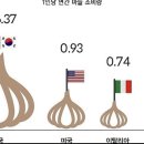 숨겨져있던 한국 마늘 소비의 진실 이미지