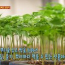 함결농장