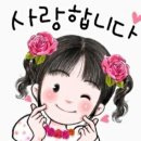 문학싱싱종합어시장 - 16416 | 문학싱싱종합어시장