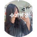 대구 대신동 미용실 수기미장 모발클리닉 후기