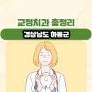 진교외과의원 | 경상남도 하동군 교정치과 총정리