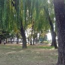 김가네 암사2호점 이미지