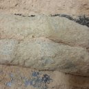 해와달 어린이집 이미지