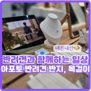 썸퍼피 | 우리 강아지 흔적을 세상에 남기기, 비문쥬얼리, 영원히 함께할 문양, 반려동물 지문 쥬얼리, 아포토...