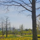 산업3단지 방류펌프장 | 📍KTL 제1차 공연종사자 안전교육 +마곡식물원 트래킹