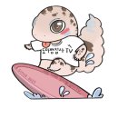 도마뱀집사TV