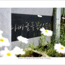 황토와 들꽃세상 이미지