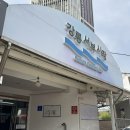 감동이네 수제간식 | 늘 믿고 먹는 강아지 수제간식 🌈무지개간식🌈 재방문 후기